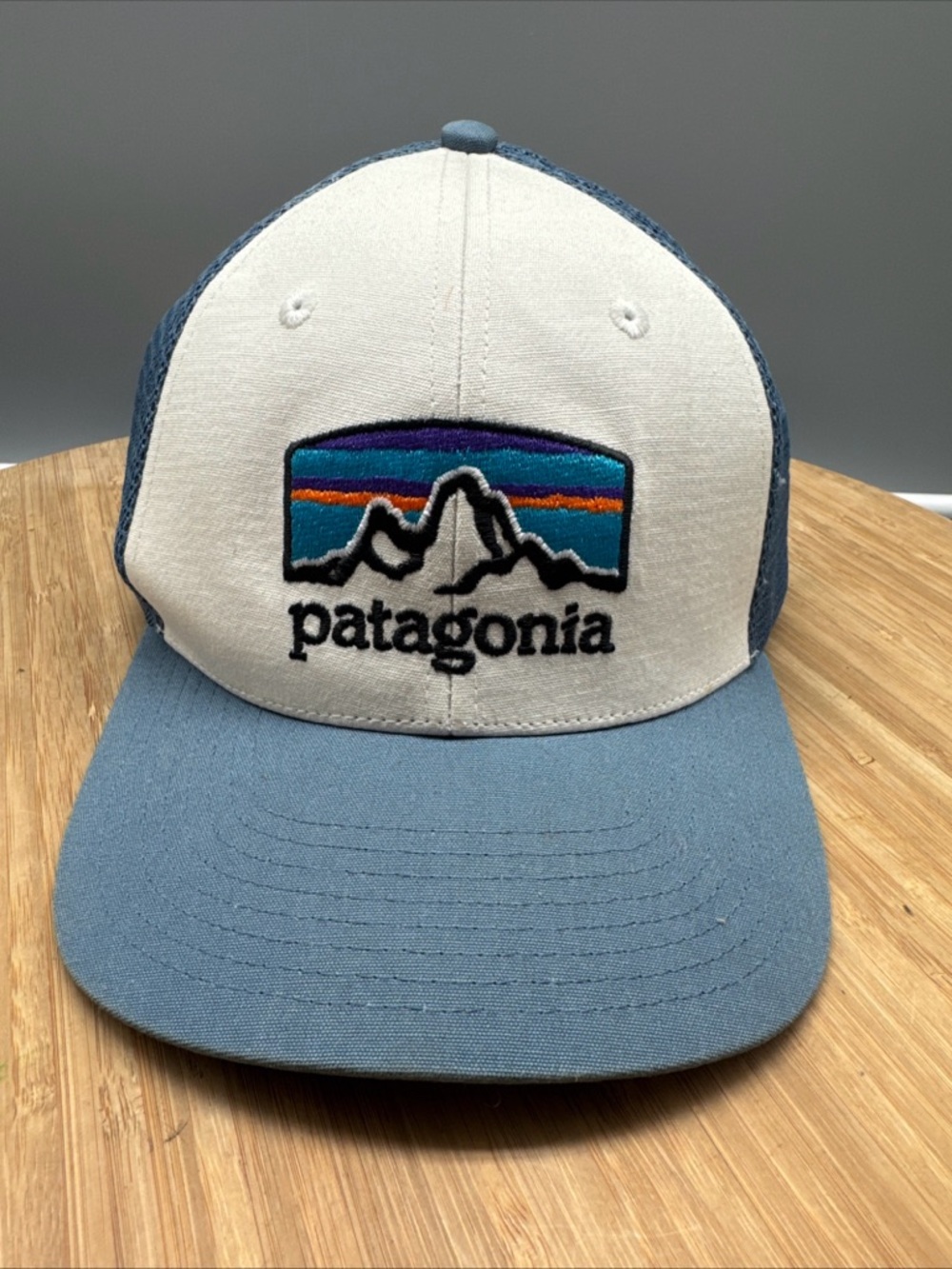 Patagonia P-6 Logo Trucker Hat Blue White Mesh Snapback Cap NetPlus Brim